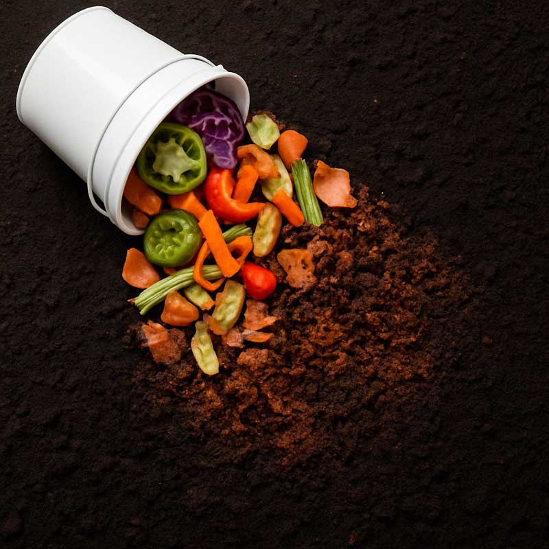 Food Scraps and Compost
