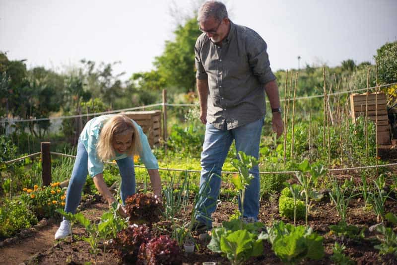 People Gardening